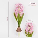 Гиацинт искусственный с луковицей, розовый, 35 см 2028-029/dk.pink фото