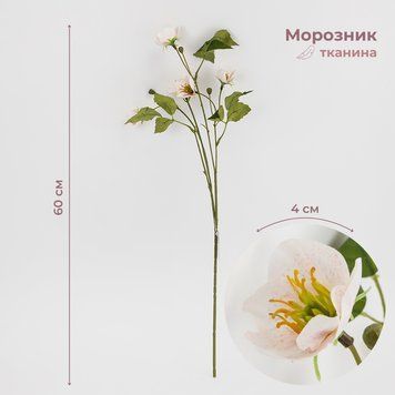 Морозник штучний (Різдвяна троянда), кремовий, 60 см 2028-006/pink-white фото