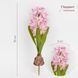 Гіацинт штучний з цибулиною, рожевий, 35 см 2028-029/dk.pink фото 1