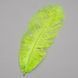 Страусиное перо 25-30 см салатовый 8501-002/light-green фото