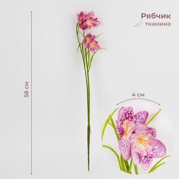 Рябчик (Фрітілярія) штучний, фіолетовий, 58 см 2028-007/It.beauty фото