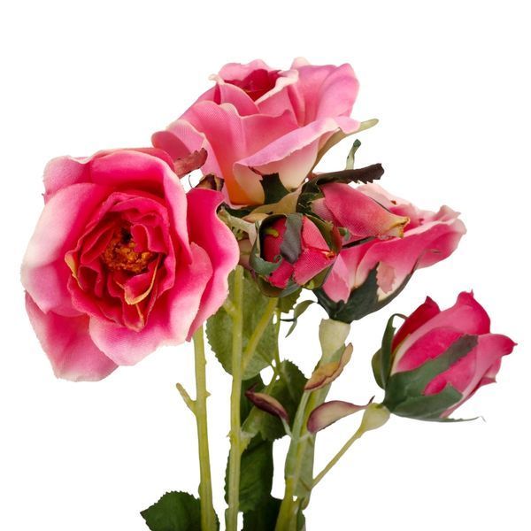 Камелия (75 см) 025F/pink фото