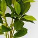 Штучна гілка фікуса, зелена, 45 см 9330-019 фото 2