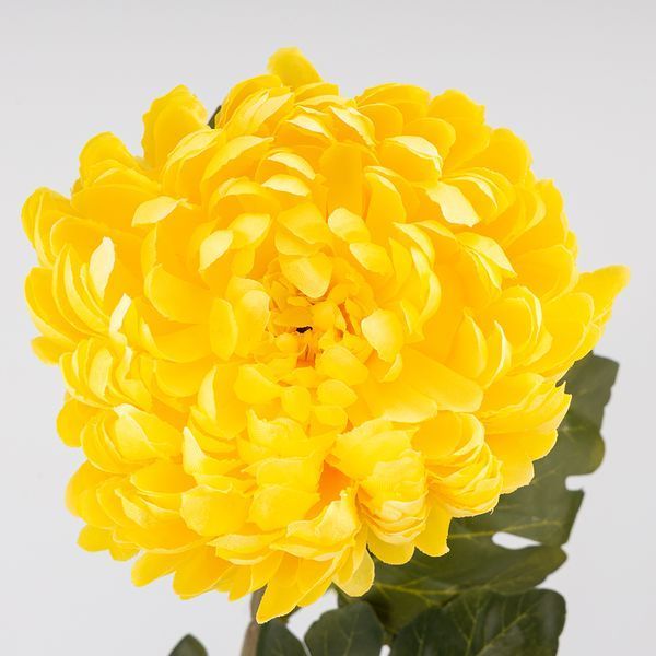 Штучна хризантема, жовта, 72 см 2026-011/yellow фото