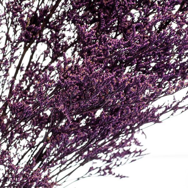 Декоративна гілка Фіолет, стабілізована 8213-009 фото