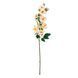 Камелія кремово-рожева, 75 см 025F/cream-pink фото 3
