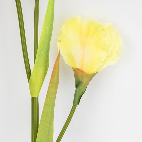 Штучний ірис, жовтий, 80 см 2026-030/yellow фото