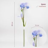 Искусственный ирис, нежно-голубой, 80 см 2026-030/sky.blue фото