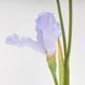 Штучний ірис, ніжно-блакитний, 80 см 2026-030/sky.blue фото 4