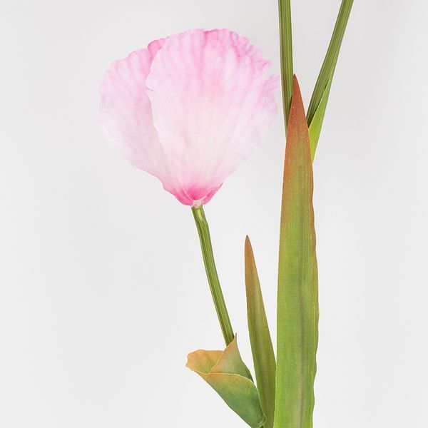 Штучний ірис, рожевий, 80 см 2026-030/pink фото