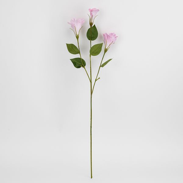 Еустома штучна, ніжно-рожева, 70 см 2028-015/It.pink фото