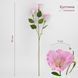 Еустома штучна, ніжно-рожева, 70 см 2028-015/It.pink фото 1
