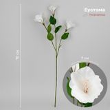 Еустома штучна, біла, 70 см 2028-015/cream фото