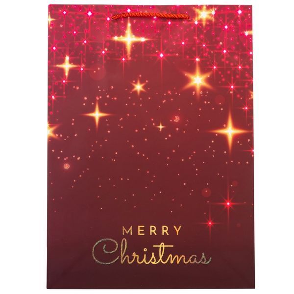 Подарунковий пакет "Merry Christmas", 30*41,5 см * Рандомний вибір дизайну 9165-009 фото