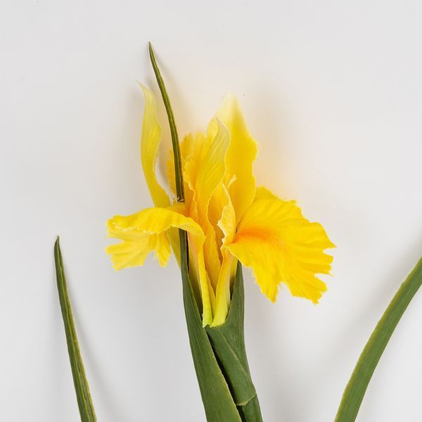 Штучний ірис, жовтий, 70 см 2028-017/yellow фото