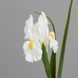 Штучний ірис, білий, 70 см 2028-017/white фото 2