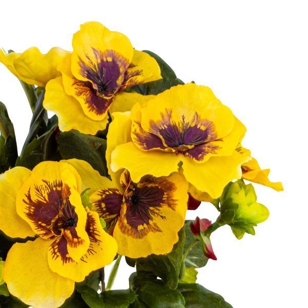 Анютины глазки (25 см) 106F/yellow фото