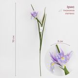 Штучний ірис, ліловий, 70 см 2028-017/lt.purple фото