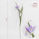 Штучний ірис, ліловий, 70 см 2028-017/lt.purple фото 1