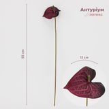 Антуриум искусственный, винный, 55 см 9317-008 фото