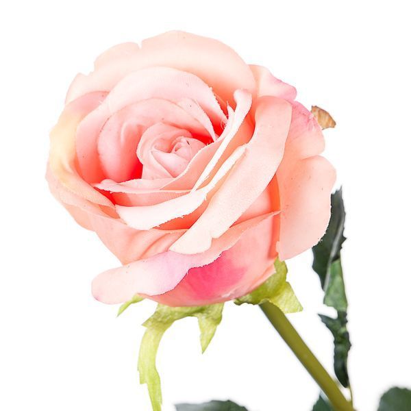 Троянда рожева, 77 см, силікон 008F/pink фото