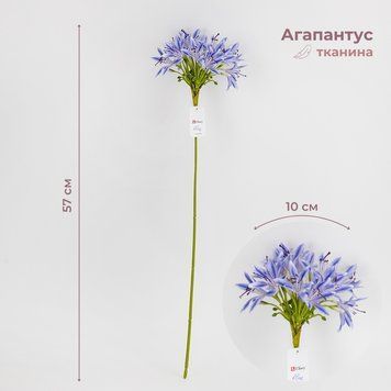 Агапантус штучний, блакитний, 57 см 2028-018/blue фото