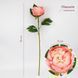 Искусственный пион, кремово-розовый, 70 см 2026-019/dk.pink фото 1