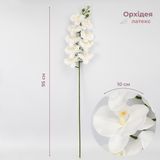 Латексна орхідея, біла, 95 см 2026-021/white фото