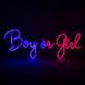 Светодиодная (LED) неоновая вывеска "Boy or Girl", от сети, сине-розовая, 50*20 см 9318-009 фото 2