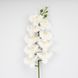 Искусственная орхидея, белая, 95 см 2026-021/white фото 2