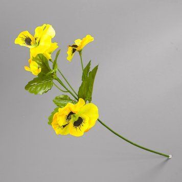 Братки жовті, 43 см 044F/yellow фото