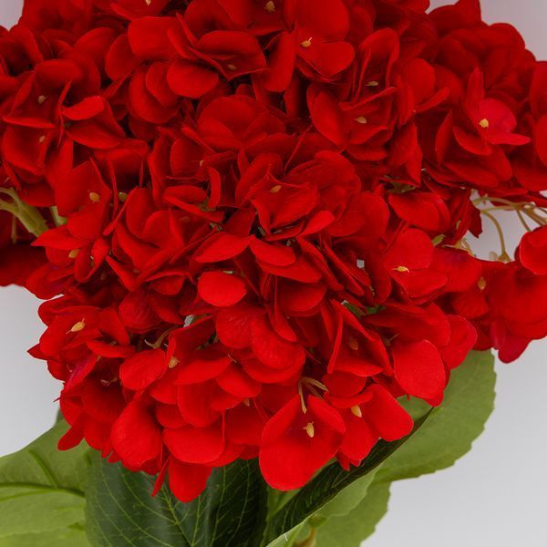 Букет гортензий, 5 бутонов, красный, 48 см 2026-008/red фото
