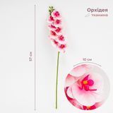Штучна орхідея, ніжно-рожева, 57 см 2026-022/wh.pink фото