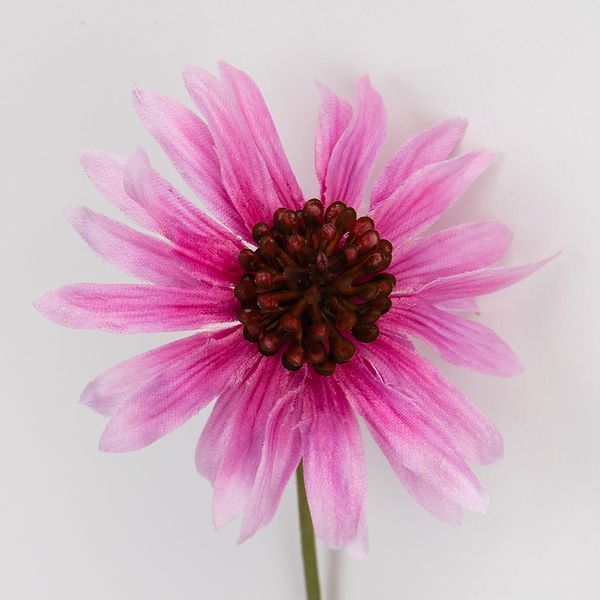 Ехінацея штучна, рожева, 65 см 2028-023/dk.pink фото