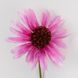 Ехінацея штучна, рожева, 65 см 2028-023/dk.pink фото 3
