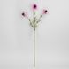 Ехінацея штучна, рожева, 65 см 2028-023/dk.pink фото 4