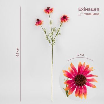 Ехінацея штучна, яскраво-рожева, 65 см 2028-023/It.beauty фото