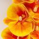 Искусственная орхидея, оранжевая, 57 см 2026-022/orange фото 4
