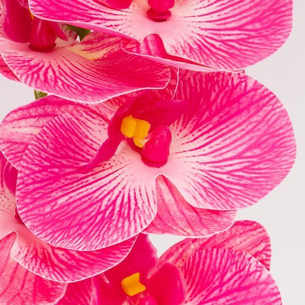 Штучна орхідея, рожева, 57 см 2026-022/pink фото