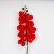 Латексна орхідея, червона, 95 см 2026-021/red фото 2