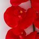Латексна орхідея, червона, 95 см 2026-021/red фото 3