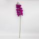 Искусственная орхидея, фиолетовая, 95 см 2026-021/violet фото 4