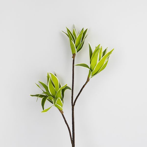 Драцена штучна, зелена, 90 см 2028-003/white-green фото