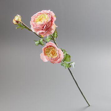 Ранункулюс рожевий, 73 см 091F/pink фото