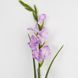 Гладіолус штучний, ліловий, 80 см 2028-027/It.purple фото 2