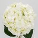 Штучна гортензія з найбільшим бутоном, біла, 93 см 2035-001/white фото 4