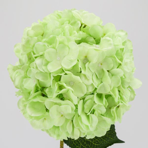 Искусственная гортензия, светло-зеленая, 93 см 2035-001/White-green фото