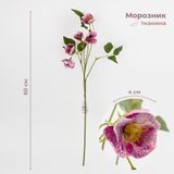 Морозник штучний (Різдвяна троянда), фіолетовий, 60 см 2028-006/lt.beauty фото