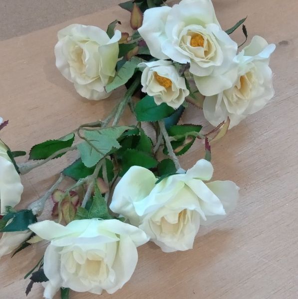 Камелія кремова. 75 см 025F/cream фото