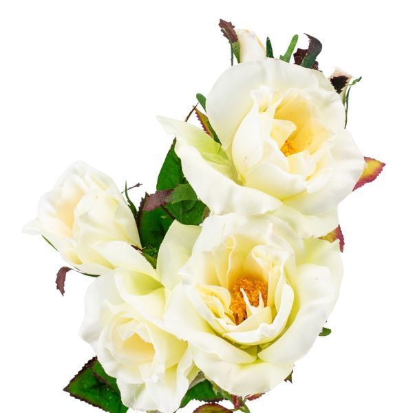 Камелія кремова. 75 см 025F/cream фото